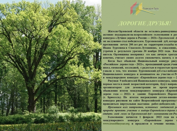 Лучшее дерево  в России-2021 